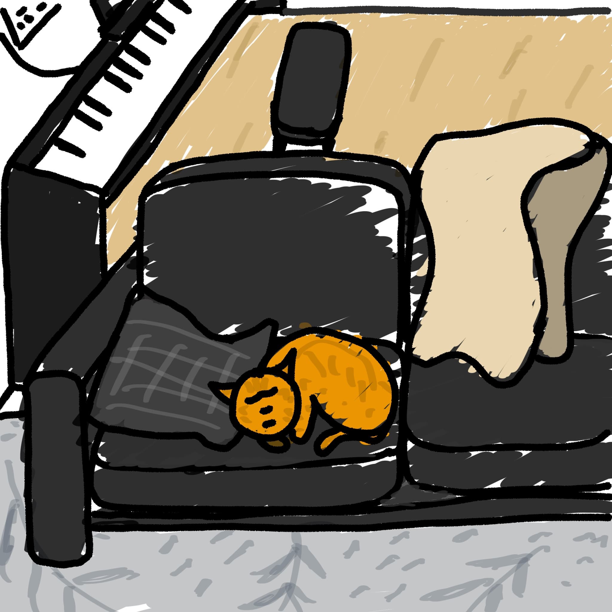 猫睡